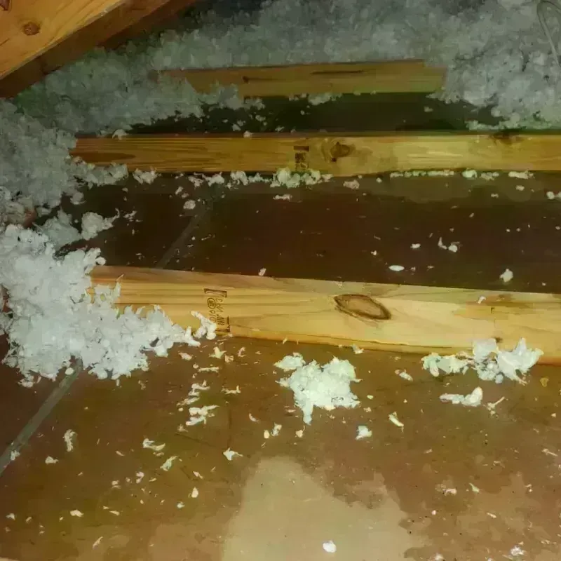 Attic Water Damage in North Fair Oaks, CA